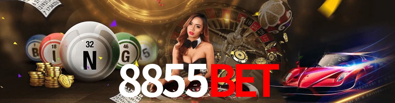 Segurança e performance na plataforma 8855Bet